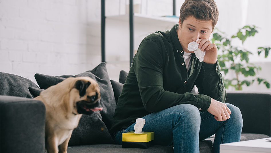 Installing an air purifier is one of the smartest approaches to improve your home’s indoor air quality. Discover more about the three smartest solutions. 